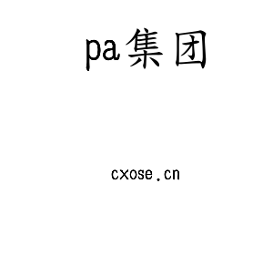 pa集团
